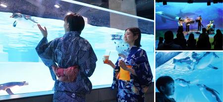 開業3周年記念!水族館がさまざまなカルチャーとコラ 開業3周年記念!水族館がさまざまなカルチャーとコラ