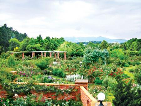 “文化的な風景”を、共に描く仲間として。GREENINGのパ “文化的な風景”を、共に描く仲間として。GREENINGのパ