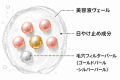 皮膚の専門家が監修するスキンケアブランド【dr365】 皮膚の専門家が監修するスキンケアブランド【dr365】