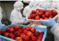 学校給食で親しまれた“あの味”がコンビニで。国産りん 学校給食で親しまれた“あの味”がコンビニで。国産りん