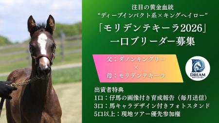 セレクトセールの“億超え熱狂”の裏で――。構造的課題を セレクトセールの“億超え熱狂”の裏で――。構造的課題を