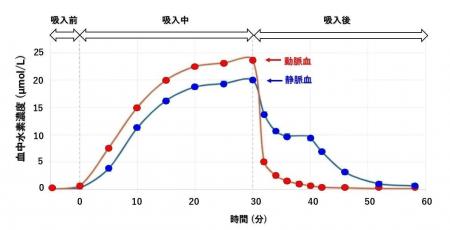 ラット組織内水素濃度の定量解析:低濃度水素吸入でも ラット組織内水素濃度の定量解析:低濃度水素吸入でも