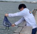 OUGグループ、大阪湾のトラフグ稚魚放流事業に参加 OUGグループ、大阪湾のトラフグ稚魚放流事業に参加