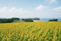 大分県豊後高田市「長崎鼻ヴィラリゾート」が、7/19( 大分県豊後高田市「長崎鼻ヴィラリゾート」が、7/19(