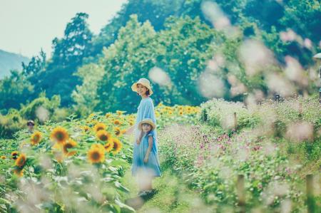 夏の神戸布引ハーブ園は最高に楽しい!「きっと忘れな 夏の神戸布引ハーブ園は最高に楽しい!「きっと忘れな
