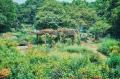 夏の神戸布引ハーブ園は最高に楽しい!「きっと忘れな 夏の神戸布引ハーブ園は最高に楽しい!「きっと忘れな