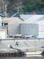 【横浜市民ギャラリーあざみ野】古墳資料から現代アー 【横浜市民ギャラリーあざみ野】古墳資料から現代アー