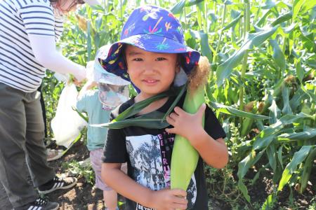 6月に植えたトウモロコシを収穫 昭和村「宮田さんち 6月に植えたトウモロコシを収穫 昭和村「宮田さんち