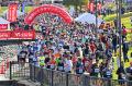 湖畔を走るランニング大会「第15回越谷レイクタウンラ 湖畔を走るランニング大会「第15回越谷レイクタウンラ