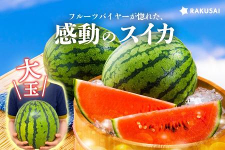 バイヤーが惚れた、感動のスイカ 蛭田さんの大玉スイ バイヤーが惚れた、感動のスイカ 蛭田さんの大玉スイ