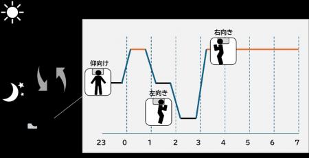“寝姿勢”に着目した睡眠研究 “寝姿勢”に着目した睡眠研究