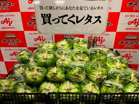6割以上の人が経験する夏場のレタスのフードロス問題 6割以上の人が経験する夏場のレタスのフードロス問題