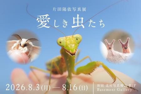 話題の虫プロデューサー片田 陽依氏の写真展、虫の表 話題の虫プロデューサー片田 陽依氏の写真展、虫の表