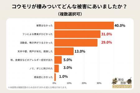 コウモリの出産シーズン到来!もっとも深刻な被害は騒 コウモリの出産シーズン到来!もっとも深刻な被害は騒