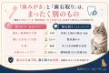 【獣医師監修】その“無麻酔の歯石取り”、大丈夫ですか 【獣医師監修】その“無麻酔の歯石取り”、大丈夫ですか