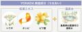 睡眠中の肌を考えた「YOHADA」薬用ボディソープ 睡眠中の肌を考えた「YOHADA」薬用ボディソープ