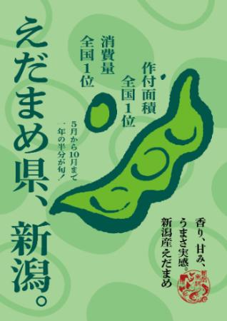 出荷最盛期を迎えた「新潟産えだまめ」が首都圏で味わ 出荷最盛期を迎えた「新潟産えだまめ」が首都圏で味わ