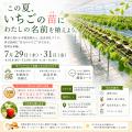 【伊豆長岡温泉×農業】参加満足度100%を記録した「育 【伊豆長岡温泉×農業】参加満足度100%を記録した「育