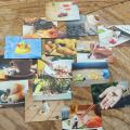 【猫カフェMOCHA】手のひらサイズの妄想写真展!原宿 【猫カフェMOCHA】手のひらサイズの妄想写真展!原宿