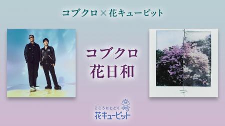 「コブクロ花日和」プロジェクト始動 メジャーデビュ 「コブクロ花日和」プロジェクト始動 メジャーデビュ