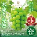 【さとふるニュースレター】2025年度「ふるさとutf-8 【さとふるニュースレター】2025年度「ふるさとutf-8