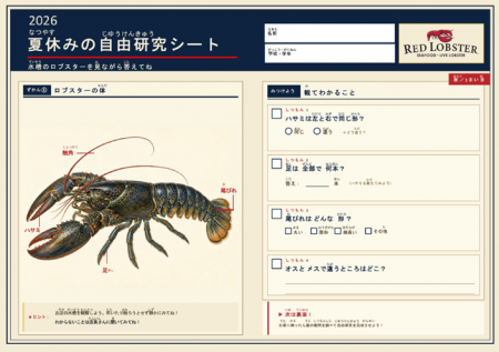 「食べる」だけじゃない、学びと思い出が生まれるレス 「食べる」だけじゃない、学びと思い出が生まれるレス