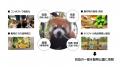 動物公園の食物残さからオリジナル商品をつくる「夢見 動物公園の食物残さからオリジナル商品をつくる「夢見