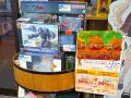 ホビーリンク・ジャパン、初の実店舗「HobbyQuest」を ホビーリンク・ジャパン、初の実店舗「HobbyQuest」を