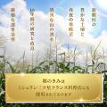 青森が生んだ上位3%の奇跡「郷のきみイエローパutf-8 青森が生んだ上位3%の奇跡「郷のきみイエローパutf-8