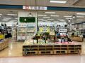 読み終えた本、捨てないで。平和書店8店舗で買取20%UP 読み終えた本、捨てないで。平和書店8店舗で買取20%UP