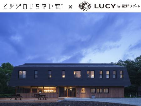 ヒツジのいらない枕® × LUCY尾瀬鳩待 by 星野リutf-8 ヒツジのいらない枕® × LUCY尾瀬鳩待 by 星野リutf-8