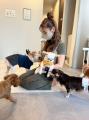 【全国40店舗達成!】保護犬猫と出会える「ANELLA CAF 【全国40店舗達成!】保護犬猫と出会える「ANELLA CAF