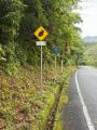 知ってる?!奄美大島は世界自然遺産!添乗員付のツアー 知ってる?!奄美大島は世界自然遺産!添乗員付のツアー