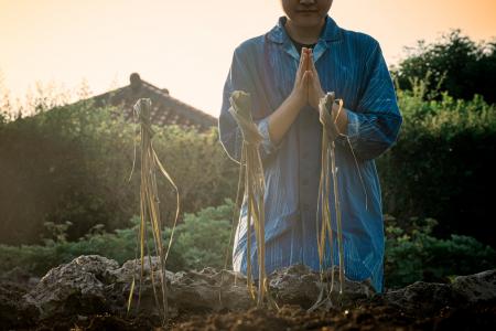 【星のや竹富島】秋の農事と祭事から着想を得た体験で 【星のや竹富島】秋の農事と祭事から着想を得た体験で