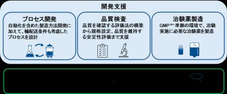 セルリソーシズ株式会社、再生医療領域の開発・製造拠 セルリソーシズ株式会社、再生医療領域の開発・製造拠