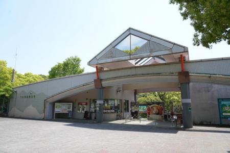 八ちゃん堂大牟田市動物園と大牟田市ともだちや絵本美 八ちゃん堂大牟田市動物園と大牟田市ともだちや絵本美