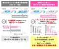 ハドラスの抗ウイルスコーティング、実環境に近い条件 ハドラスの抗ウイルスコーティング、実環境に近い条件