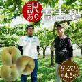 雹被害梨農家の応援につながる訳ありお礼品が「utf-8 雹被害梨農家の応援につながる訳ありお礼品が「utf-8