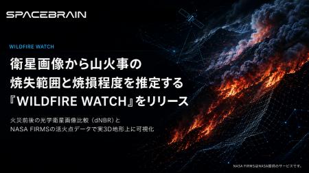 スペースデータ、衛星画像から山火事の焼失範囲と焼損 スペースデータ、衛星画像から山火事の焼失範囲と焼損