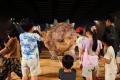 大阪初開催!体験型ライブエンターテインメント「DINO 大阪初開催!体験型ライブエンターテインメント「DINO