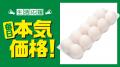 夏休みの食費負担を「本気価格」と「特別価格」で応援 夏休みの食費負担を「本気価格」と「特別価格」で応援