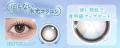 TeAmo1DAYアクエールシリーズより透明感あふれる回ら TeAmo1DAYアクエールシリーズより透明感あふれる回ら
