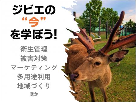 ジビエの“今”を学ぼう!全国各地(北海道・宮城県・東 ジビエの“今”を学ぼう!全国各地(北海道・宮城県・東