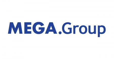 若手社員の早期成長と将来のリーダー育成へ。メガグル 若手社員の早期成長と将来のリーダー育成へ。メガグル