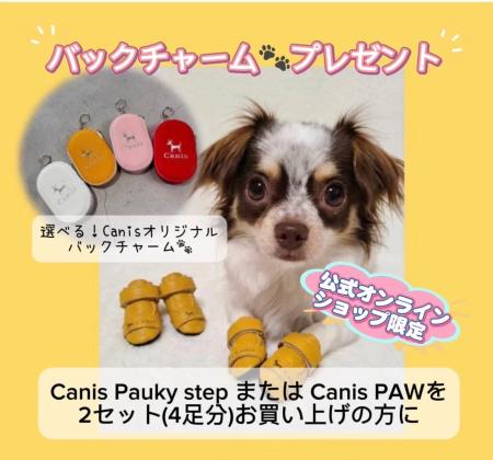 猛暑から愛犬を守る職人手作りの最高級本革犬靴『Cani 猛暑から愛犬を守る職人手作りの最高級本革犬靴『Cani