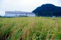 緑川酒造株式会社より 新シリーズ Phenomeno 第一弾 緑川酒造株式会社より 新シリーズ Phenomeno 第一弾