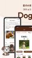 愛犬家向けアプリ「DogMate」、愛犬家同士が支え合え 愛犬家向けアプリ「DogMate」、愛犬家同士が支え合え
