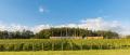 【日本ワインコンクール】NIKI Hills Wineryの白ワイ 【日本ワインコンクール】NIKI Hills Wineryの白ワイ