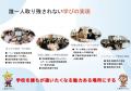 岡山県立高等学校・中等教育学校の校長職(任期付職員 岡山県立高等学校・中等教育学校の校長職(任期付職員