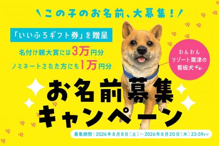 わんわんリゾート 粟津の わんわんリゾート 粟津の